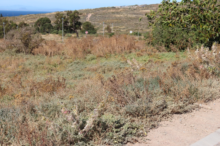 0 Bedroom Property for Sale in Steenbergs Cove Western Cape